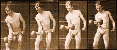 Obrázek ze série "Animal Locomotion", cca 1887 od Eadweard Muybridge